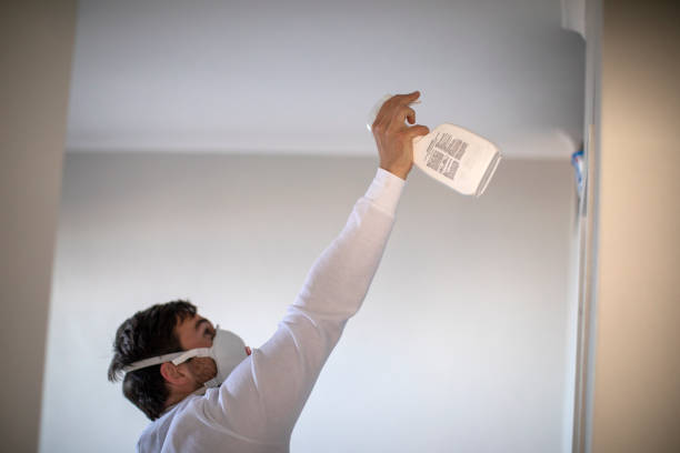 Best Mold Testing  in Mclean, VA