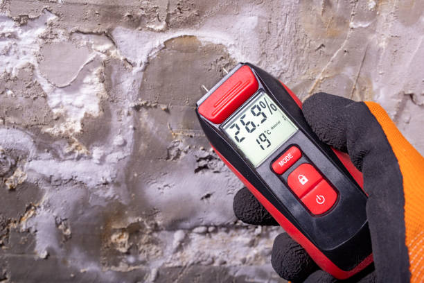 Best Mold Cleaning Services  in Mclean, VA