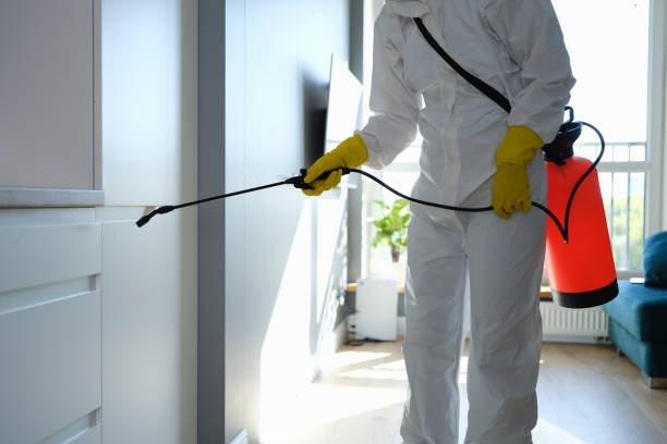 Best Residential Mold Removal  in Mclean, VA