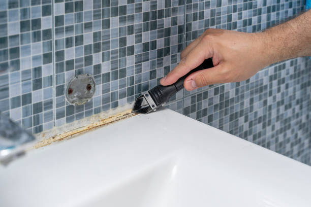  Mclean, VA Mold Removal Pros