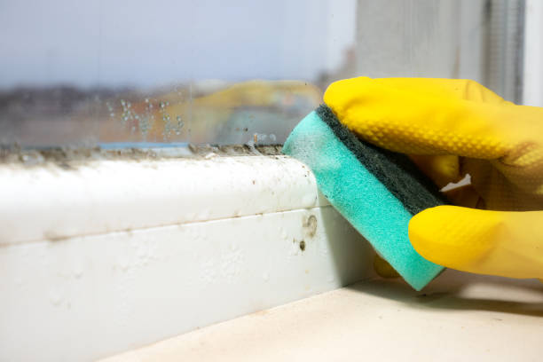 Attic Mold Removal in Mclean, VA