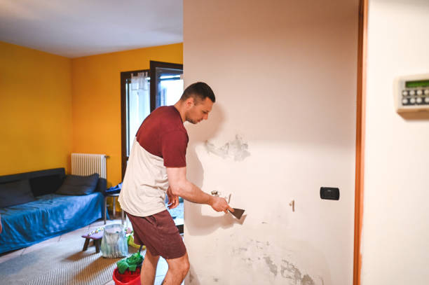 Best Mold Removal Near Me  in Mclean, VA